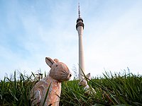 Frohe Ostern vom Fernsehturm Dresden 
