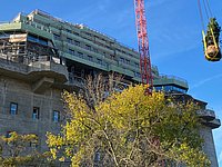 Auf dem Bunker St. Pauli wachsen die ersten Bäume