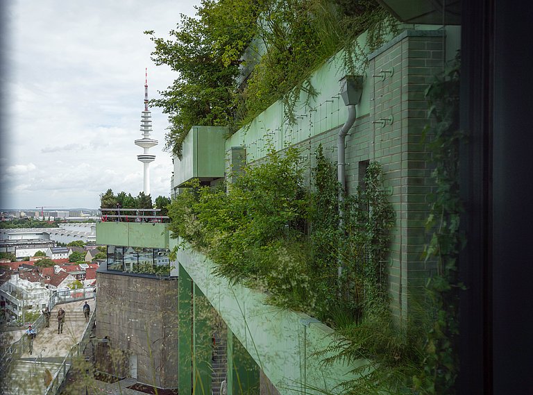 Begrünter Stadtgarten Hamburg mit Bergpfad